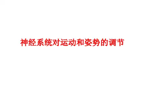 运动神经元