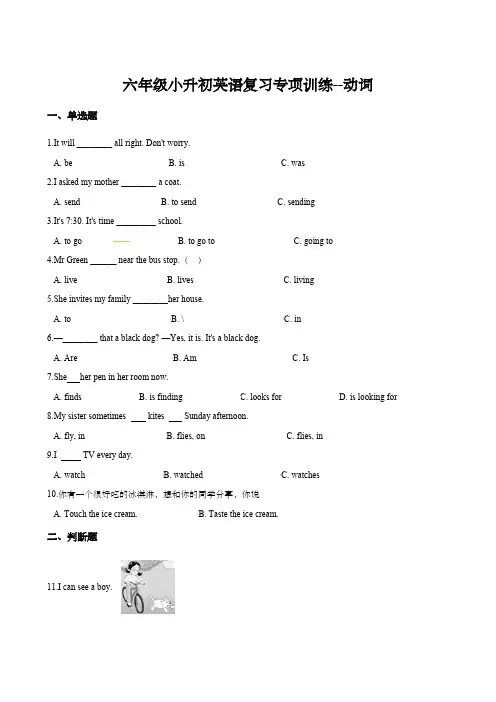 六年级小升初英语复习专项训练--动词 通用版(含答案解析)