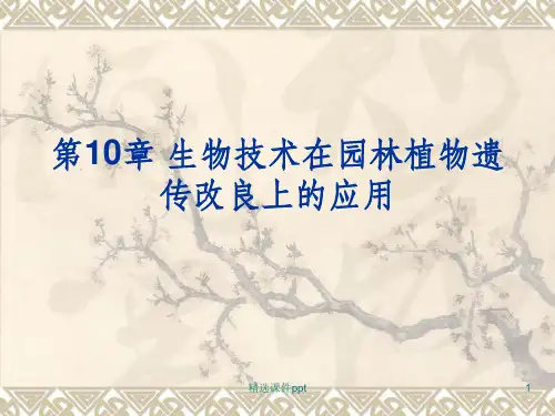 园林植物花卉育种学ppt课件第10章 生物技术在园林植物育种遗传改良上的应用