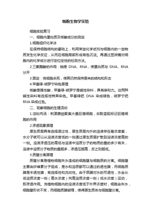 细胞生物学实验