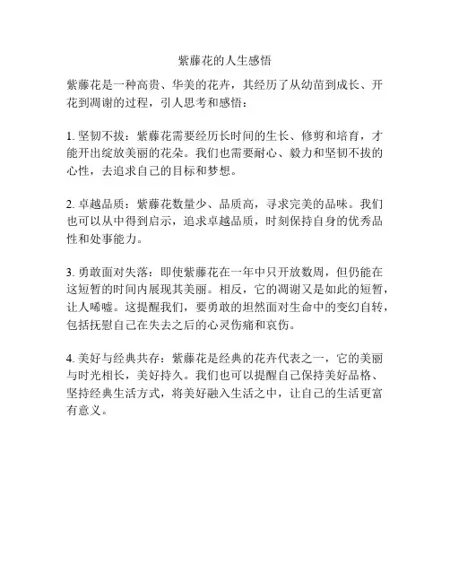 紫藤花的人生感悟