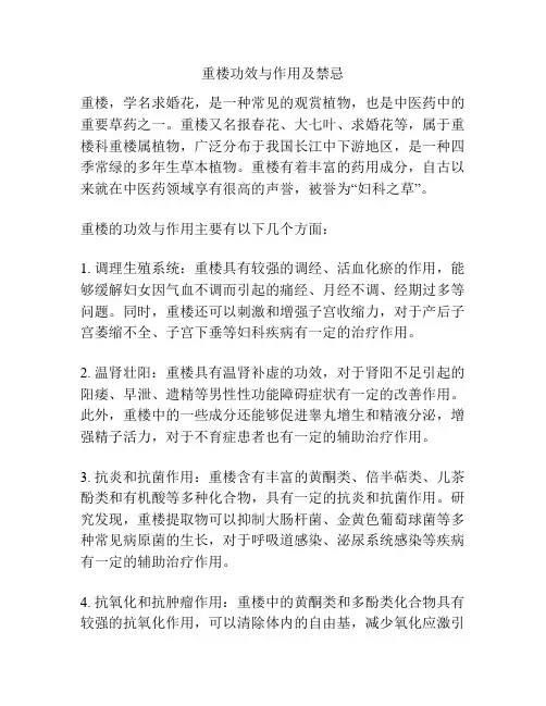 重楼功效与作用及禁忌