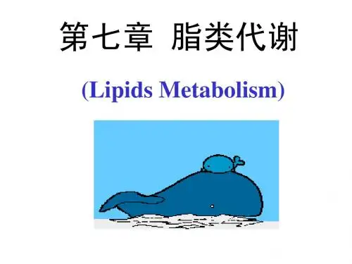 脂类代谢