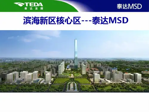 滨海新区核心区---泰达MSD