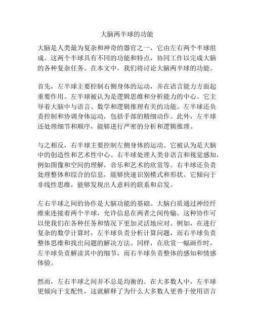 大脑两半球的功能