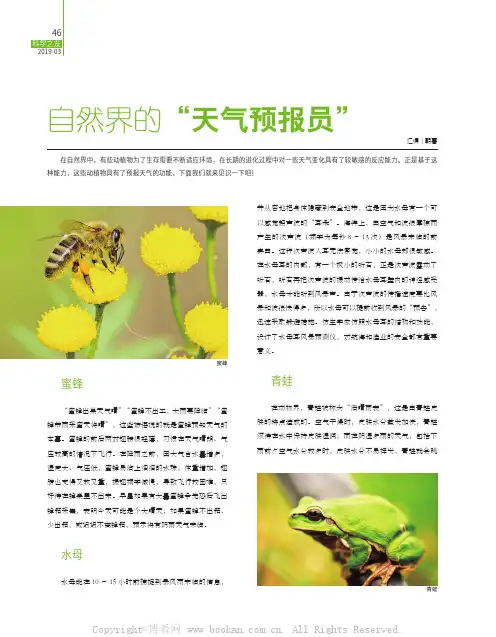 自然界的“天气预报员”