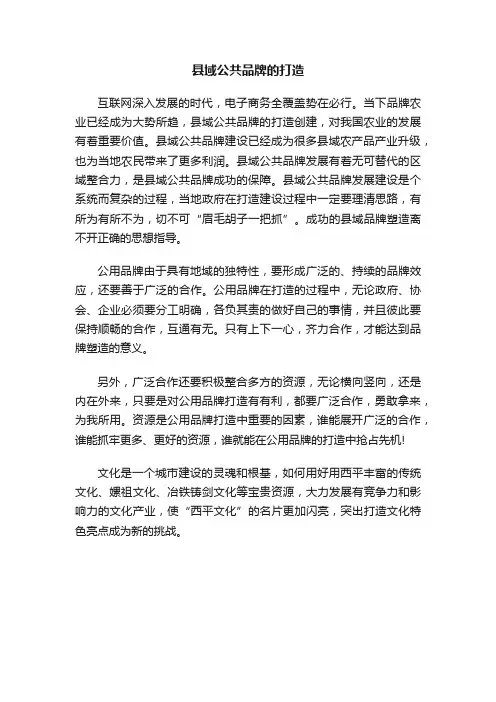 县域公共品牌的打造
