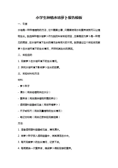 小学生种植水培萝卜报告模板