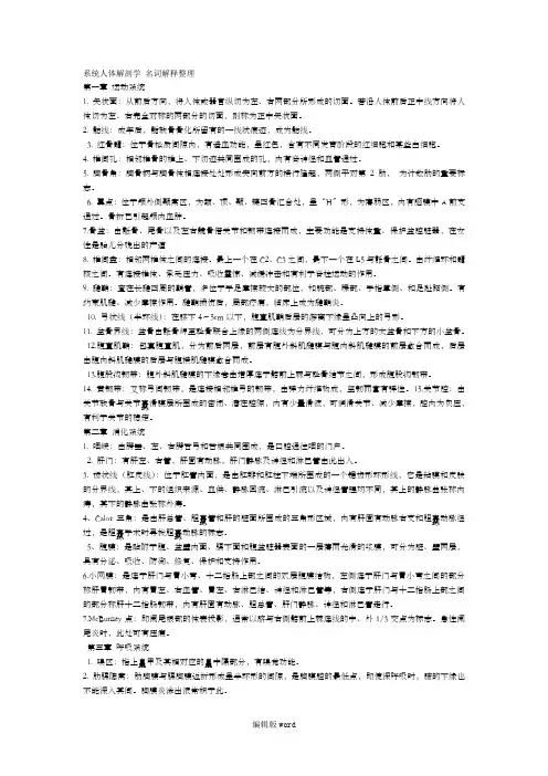 正常人体解剖学 名词解释大全