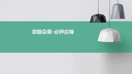 “欲除杂草-必种庄稼”材料作文导写及例文