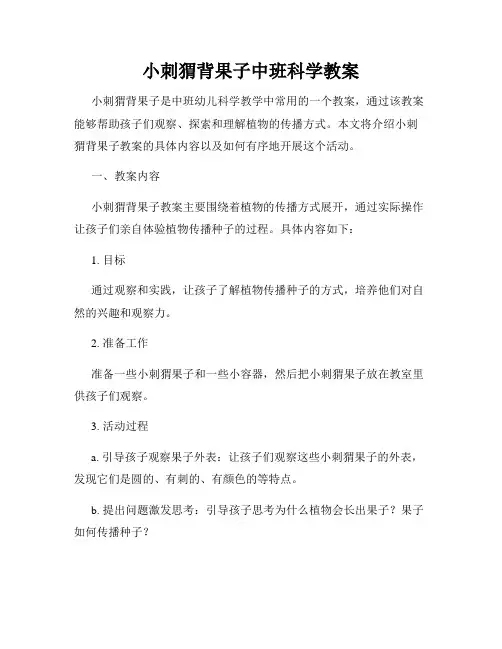 小刺猬背果子中班科学教案
