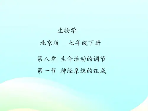 北京版七下生物--8.1-神经系统的组成--课件---(共43张PPT)