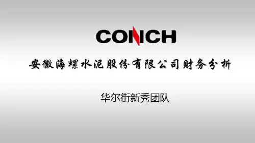 海螺企业财务分析终稿