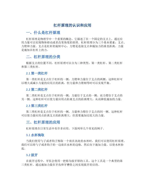 杠杆原理的认识和应用