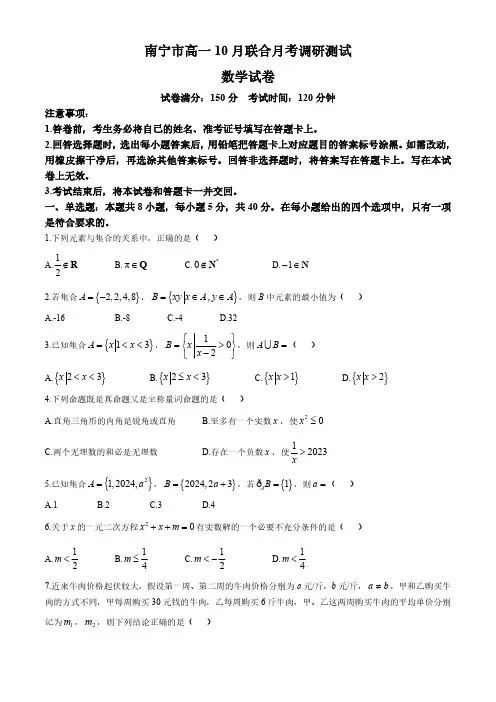 广西南宁市2024-2025学年高一上学期10月联合月考调研测试数学试卷(无答案)