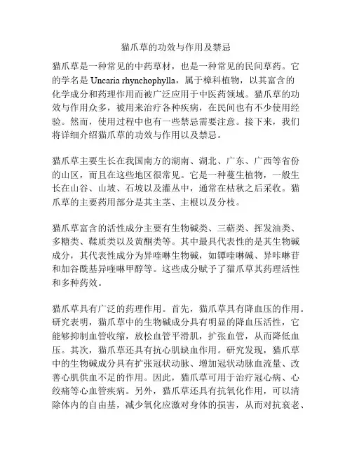 猫爪草的功效与作用及禁忌