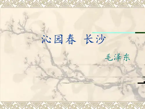 《沁园春·长沙》ppt课件 
