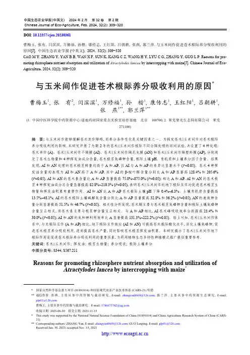 与玉米间作促进苍术根际养分吸收利用的原因