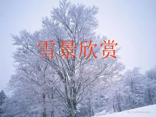 写雪的作文指导ppt课件