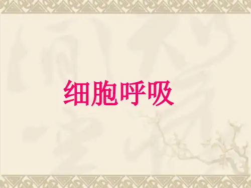 广东省广州市第81中学高一生物《细胞呼吸》课件