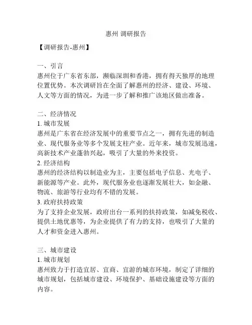惠州 调研报告