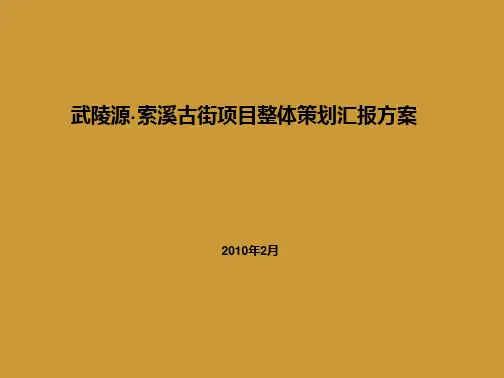 某古街项目整体策划汇报方案ppt模板下载