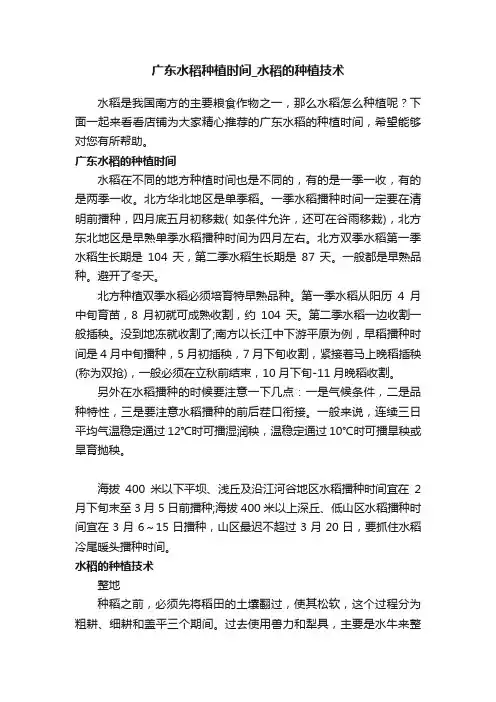 广东水稻种植时间_水稻的种植技术