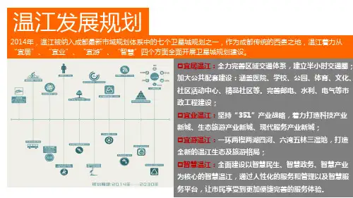 温江发展规划方案