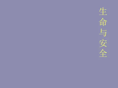 六年级安全教育主题班会课件-生命与安全 全国通用(共22张PPT)