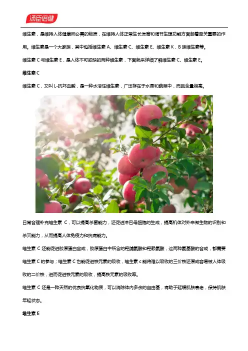 维生素C、E有何功效？维生素C维生素E咀嚼片怎么样