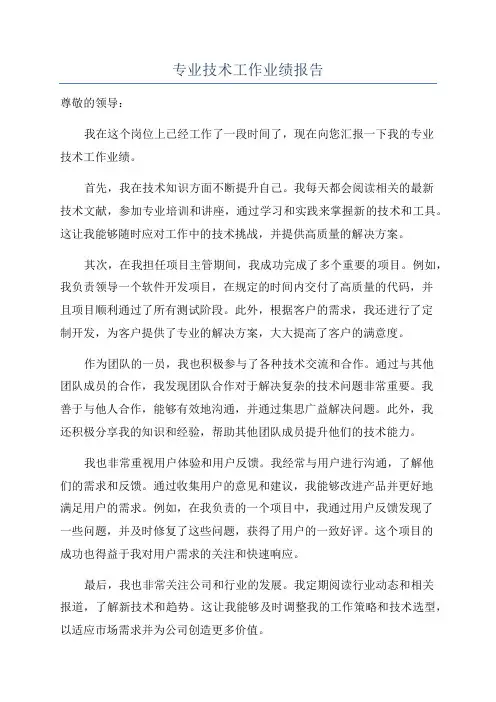 专业技术工作业绩报告