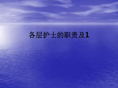 各层护士的职责及1ppt课件