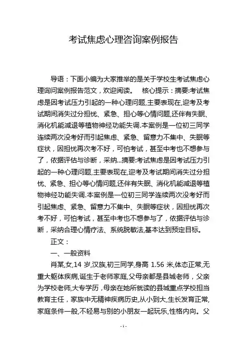 考试焦虑心理咨询案例报告