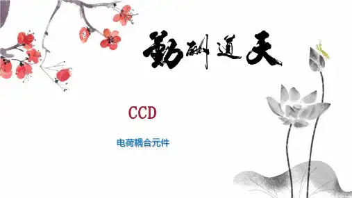 CCD    