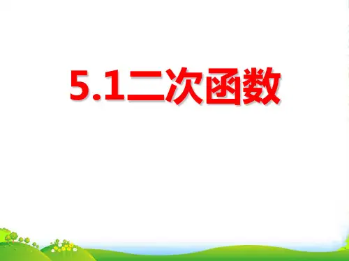 苏科版九年级数学下册第五章《二次函数》优质课课件