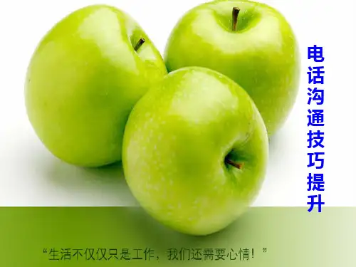 沟通技巧和压力应对PPT课件