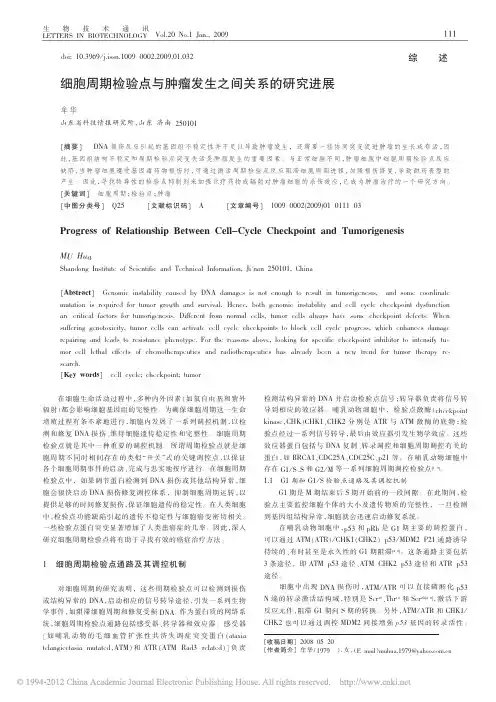 细胞周期检验点与肿瘤发生之间关系的研究进展_牟华