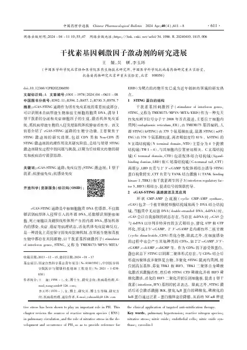干扰素基因刺激因子激动剂的研究进展