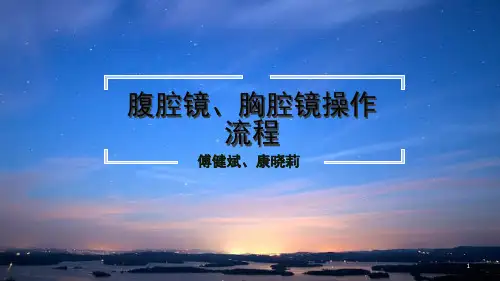 腹腔镜胸腔镜操作流程PPT演示幻灯片
