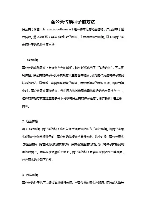 蒲公英传播种子的方法