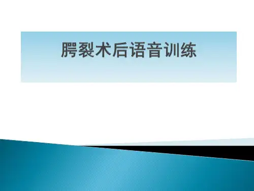腭裂术后语音训练