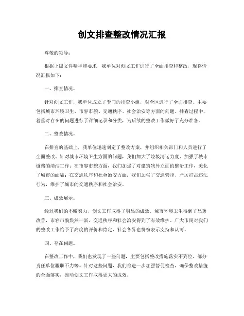 创文排查整改情况汇报