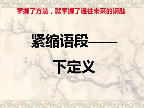 中考语文二轮专题复习：语段压缩之下定义课件