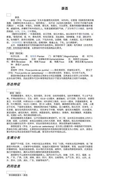 薜荔——精选推荐