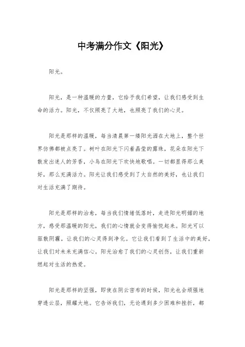 中考满分作文《阳光》