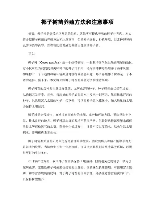 椰子树苗养殖方法和注意事项