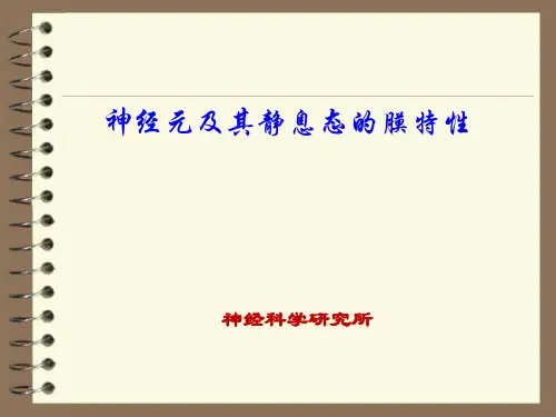 神经生物学：神经元及其静息态的膜特性