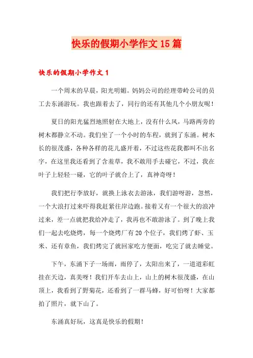 快乐的假期小学作文15篇