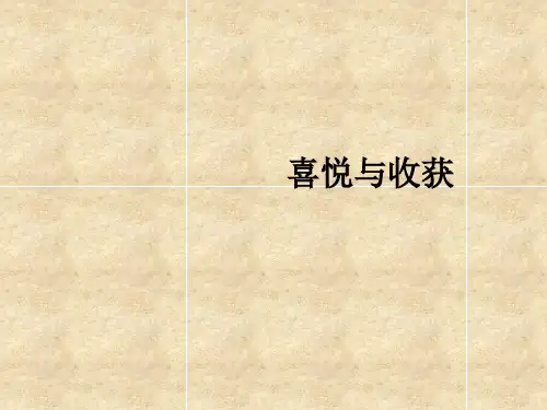 人教版美术第3课 喜悦与收获  课件  (2)