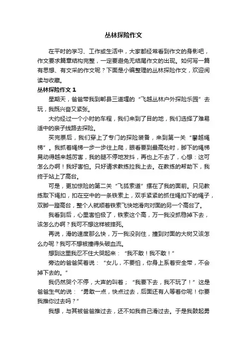 丛林探险作文合集15篇